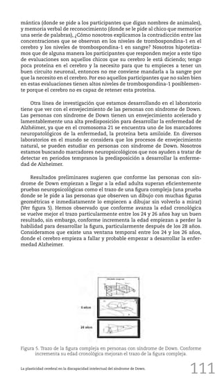 111
mántica (donde se pide a los participantes que digan nombres de animales),
y memoria verbal de reconocimiento (donde se le pide al chico que memorice
una serie de palabras), ¿Cómo nosotros explicamos la contradicción entre las
concentraciones que se observan en los niveles de trombospondina-1 en el
cerebro y los niveles de trombospondina-1 en sangre? Nosotros hipotetiza-
mos que de alguna manera los participantes que responden mejor a este tipo
de evaluaciones son aquellos chicos que su cerebro le está diciendo; tengo
poca proteína en el cerebro y la necesito para que tu empieces a tener un
buen circuito neuronal, entonces no me conviene mandarla a la sangre por
que la necesito en el cerebro. Por eso aquellos participantes que no salen bien
en estas evaluaciones tienen altos niveles de trombospondina-1 posiblemen-
te porque el cerebro no es capaz de retener esta proteína.
Otra línea de investigación que estamos desarrollando en el laboratorio
tiene que ver con el envejecimiento de las personas con síndrome de Down.
Las personas con síndrome de Down tienen un envejecimiento acelerado y
lamentablemente una alta predisposición para desarrollar la enfermedad de
Alzhéimer, ya que en el cromosoma 21 se encuentra uno de los marcadores
neuropatológicos de la enfermedad, la proteína beta amiloide. En diversos
laboratorios en el mundo se considera que los procesos de envejecimiento
natural, se pueden estudiar en personas con síndrome de Down. Nosotros
estamos buscando marcadores neuropsicológicos que nos ayuden a tratar de
detectar en periodos tempranos la predisposición a desarrollar la enferme-
dad de Alzheimer.
Resultados preliminares sugieren que conforme las personas con sín-
drome de Down empiezan a llegar a la edad adulta superan eficientemente
pruebas neuropsicológicas como el trazo de una figura compleja (una prueba
donde se le pide a las personas que observen un dibujo con muchas figuras
geométricas e inmediatamente lo empiecen a dibujar sin volverlo a mirar)
(Ver figura 5). Hemos observado que conforme avanza la edad cronológica
se vuelve mejor el trazo particularmente entre los 24 y 26 años hay un buen
resultado, sin embargo, conforme incrementa la edad empiezan a perder la
habilidad para desarrollar la figura, particularmente después de los 28 años.
Consideramos que existe una ventana temporal entre los 24 y los 26 años,
donde el cerebro empieza a fallar y probable empezar a desarrollar la enfer-
medad Alzheimer.
Figura 5. Trazo de la figura compleja en personas con síndrome de Down. Conforme
incrementa su edad cronológica mejoran el trazo de la figura compleja.
La plasticidad cerebral en la discapacidad intelectual del síndrome de Down.
 