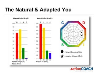 The Natural & Adapted You
 