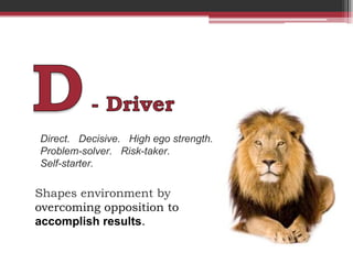 Disc Model of Personality | PPS
