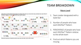 TEAM BREAKDOWN
Macro Level
1. Team Leader designated with a
Gold Star
2. Number of people who have
each DISCflex™ Pattern
3. PERCENTAGE of people who have
each DISCflex™ Pattern relative
to the whole team
4. Find out which Patterns you are
missing
*1
4
32
 