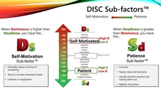 What is DiSC? Read our guide about the DiSC Personality Test.