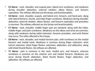 • C5 Nerve - neck, shoulder, and scapula pain, lateral arm numbness, and weakness
during shoulder abduction, external rotation, elbow flexion, and forearm
supination. The reflexes affected are the biceps and brachioradialis.
• C6 Nerve - neck, shoulder, scapula, and lateral arm, forearm, and hand pain, along
with lateral forearm, thumb, and index finger numbness. Weakness during shoulder
abduction, external rotation, elbow flexion, and forearm supination and pronation
is common. The reflexes affected are the biceps and brachioradialis.
• C7 Nerve - neck, shoulder, middle finger pain are standard, along with the index,
middle finger, and palm numbness. Weakness on the elbow and wrist are common,
along with weakness during radial extension, forearm pronation, and wrist flexion
may occur. The reflex affected is the triceps.
• C8 Nerve - neck, shoulder, and medial forearm pain, with numbness on the medial
forearm and medial hand. Weakness is common during finger extension, wrist
(ulnar) extension, distal finger flexion, extension, abduction, and adduction, along
with distal thumb flexion. No reflexes are affected.
• T1 Nerve - pain is common in the neck, medial arm, and forearm, whereas
numbness is common on the anterior arm and medial forearm. Weakness can
occur during thumb abduction, distal thumb flexion, finger abduction, and
adduction. No reflexes are affected.
 