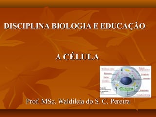 DISCIPLINA BIOLOGIA E EDUCAÇÃO


              A CÉLULA




    Prof. MSc. Waldileia do S. C. Pereira
 