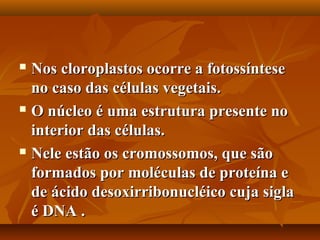  Nos cloroplastos ocorre a fotossíntese
  no caso das células vegetais.
 O núcleo é uma estrutura presente no

  interior das células.
 Nele estão os cromossomos, que são

  formados por moléculas de proteína e
  de ácido desoxirribonucléico cuja sigla
  é DNA .
 