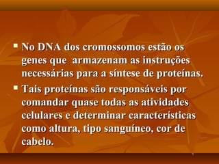  No DNA dos cromossomos estão os
  genes que armazenam as instruções
  necessárias para a síntese de proteínas.
 Tais proteínas são responsáveis por

  comandar quase todas as atividades
  celulares e determinar características
  como altura, tipo sanguíneo, cor de
  cabelo.
 
