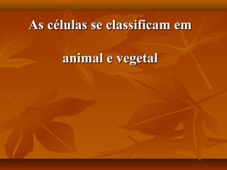 As células se classificam em

     animal e vegetal
 