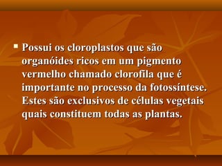    Possui os cloroplastos que são
    organóides ricos em um pigmento
    vermelho chamado clorofila que é
    importante no processo da fotossíntese.
    Estes são exclusivos de células vegetais
    quais constituem todas as plantas.
 
