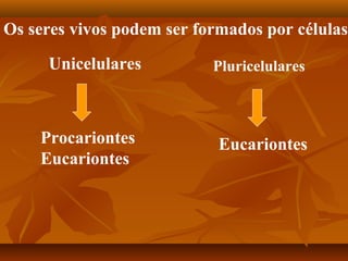 Os seres vivos podem ser formados por células
     Unicelulares          Pluricelulares



    Procariontes            Eucariontes
    Eucariontes
 