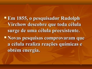  Em 1855, o pesquisador Rudolph
  Virchow descobre que toda célula
  surge de uma célula preexistente.
 Novas pesquisas comprovaram que

  a célula realiza reações químicas e
  obtém energia.
 