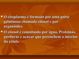  O citoplasma é formado por uma parte
  gelatinosa chamada citosol e por
  organóides.
 O citosol é constituído por água, Proteínas,

  gorduras e açúcar que preenchem o interior
  da célula
 