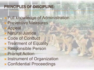 Principles ofDiscipline:Full knowledge of AdministrationPreventive MeasuresAppealNatural JusticeCode of ConductTreatment of EqualityResponsible PersonPrompt ActionInstrument of OrganizationConfidential Proceedings