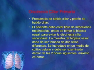 Discinesia Ciliar Primaria
• Frecuencia de batido ciliar y patrón de
batido ciliar:
• El paciente debe estar libre de infecciones
respiratorias, antes de tomar la biopsia
nasal, para evitar la discinesia ciliar
secundaria. La muestra de biopsia nasal
debe de ser tomada de dos sitios
diferentes. Se indroduce en un medio de
cultivo celular y debe ser examinado
dentro de las 2 horas siguientes, máximo
24 horas.
 