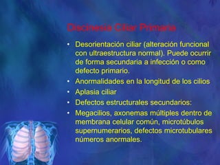 Discinesia Ciliar Primaria
• Desorientación ciliar (alteración funcional
con ultraestructura normal). Puede ocurrir
de forma secundaria a infección o como
defecto primario.
• Anormalidades en la longitud de los cilios
• Aplasia ciliar
• Defectos estructurales secundarios:
• Megacilios, axonemas múltiples dentro de
membrana celular común, microtúbulos
supernumerarios, defectos microtubulares
números anormales.
 