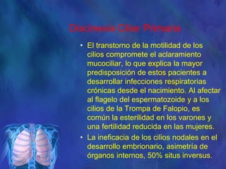 Discinesia Ciliar Primaria
• El transtorno de la motilidad de los
cilios compromete el aclaramiento
mucociliar, lo que explica la mayor
predisposición de estos pacientes a
desarrollar infecciones respiratorias
crónicas desde el nacimiento. Al afectar
al flagelo del espermatozoide y a los
cilios de la Trompa de Falopio, es
común la esterilidad en los varones y
una fertilidad reducida en las mujeres.
• La ineficacia de los cilios nodales en el
desarrollo embrionario, asimetría de
órganos internos, 50% situs inversus.
 