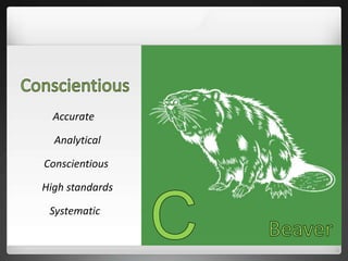 Accurate
Analytical
Conscientious
High standards
Systematic
 