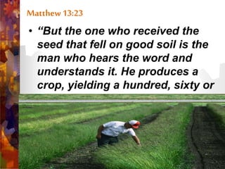 Matthew 13:23
• “But the one who received the
seed that fell on good soil is the
man who hears the word and
understands it. He produces a
crop, yielding a hundred, sixty or
thirty times what was sown.”
 