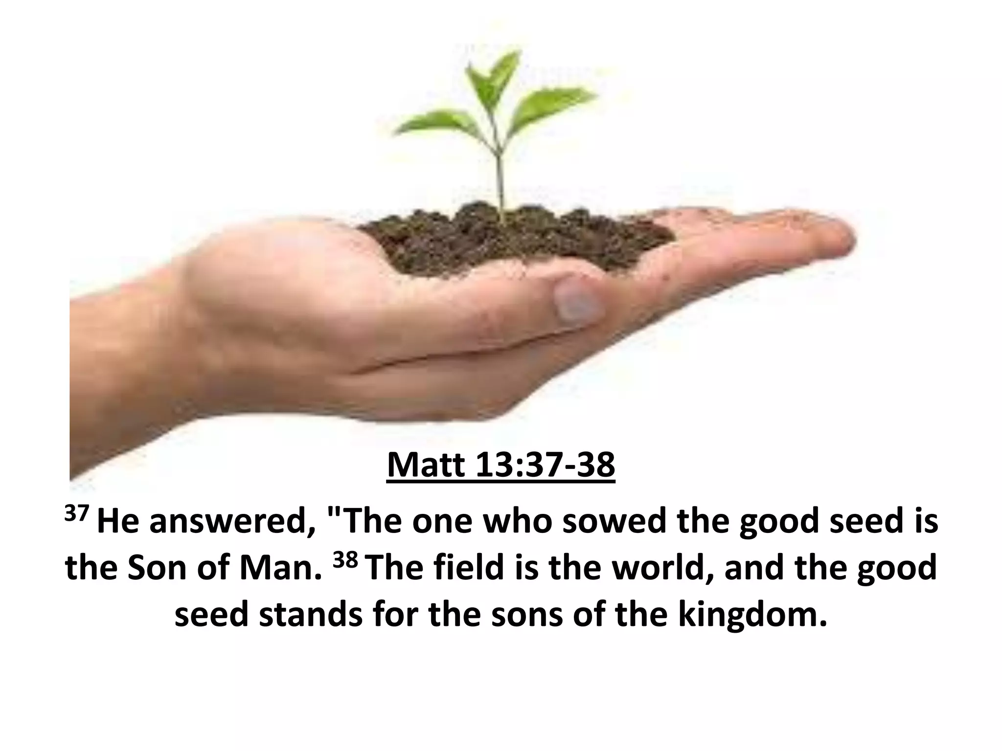 Matt 13:37-38
37 He answered, "The one who sowed the good seed is
the Son of Man. 38 The field is the world, and the good
seed stands for the sons of the kingdom.

 