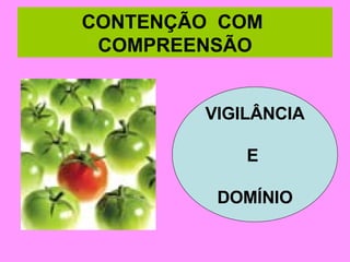CONTENÇÃO  COM  COMPREENSÃO VIGILÂNCIA E  DOMÍNIO 