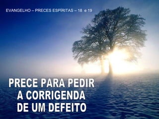 PRECE PARA PEDIR A CORRIGENDA DE UM DEFEITO EVANGELHO – PRECES ESPÍRITAS – 18  e 19 