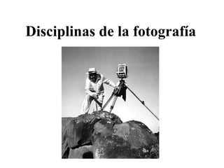 Disciplinas de la fotografía
 