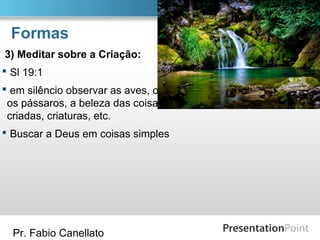 Pr. Fabio Canellato
Formas
3) Meditar sobre a Criação:
 Sl 19:1
 em silêncio observar as aves, ouvir
os pássaros, a beleza das coisas
criadas, criaturas, etc.
 Buscar a Deus em coisas simples
 