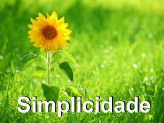 Pr. Fabio Canellato
SimplicidadeSimplicidade
 