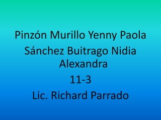 Pinzón Murillo Yenny Paola
Sánchez Buitrago Nidia
Alexandra
11-3
Lic. Richard Parrado

 