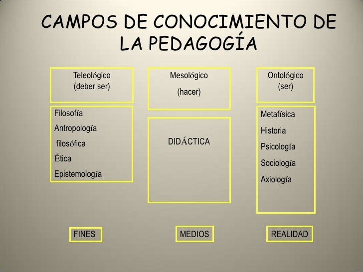 Disciplinas de pedagogia Disciplinas de pedagogia
