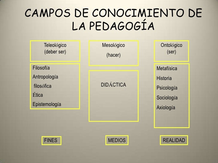 Disciplinas de pedagogia