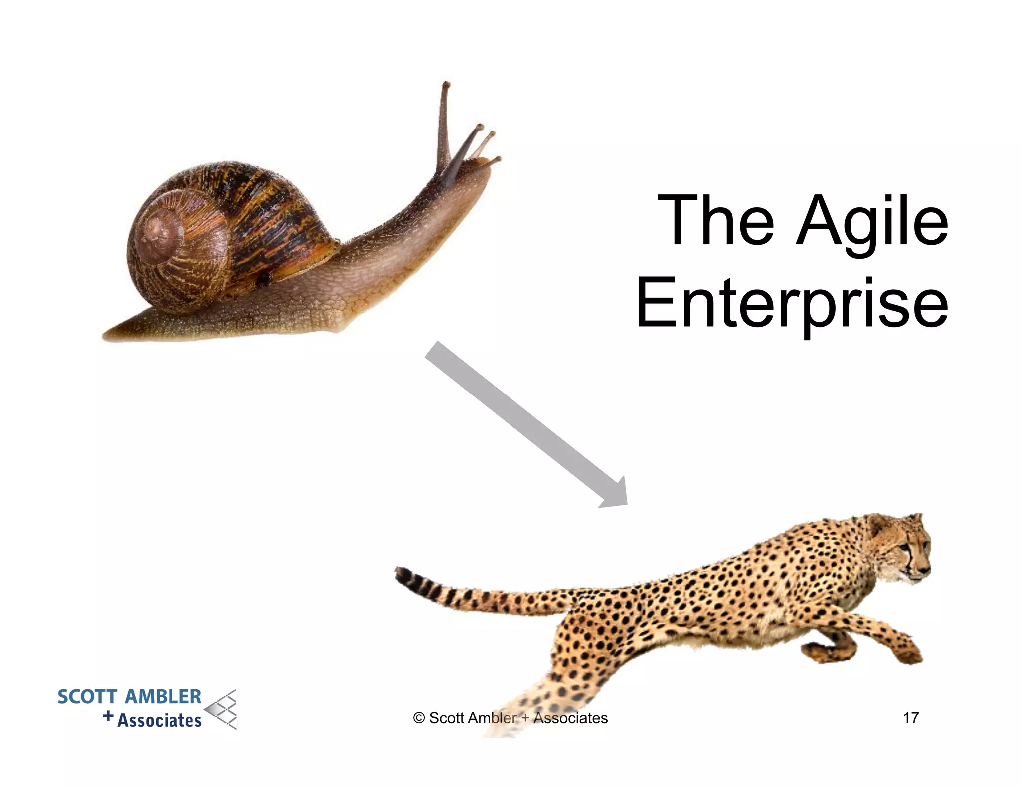 The Agile 
Enterprise 
© Scott Ambler + Associates 17 
 
