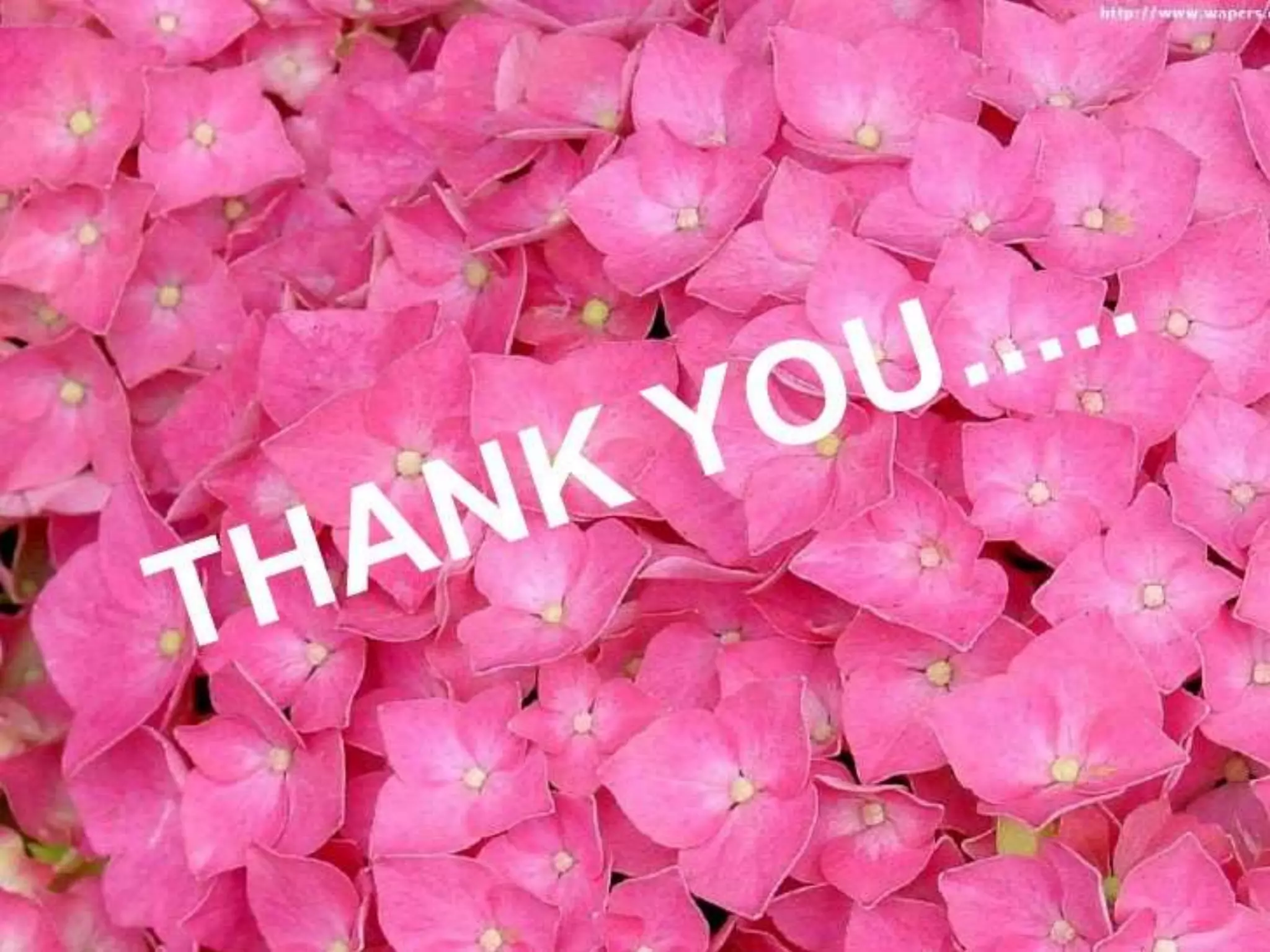 Presentation on Discipline