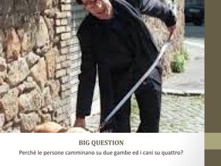 BIG QUESTION
Perché le persone camminano su due gambe ed i cani su quattro?
 