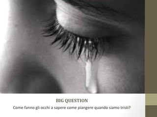 BIG QUESTION
Come fanno gli occhi a sapere come piangere quando siamo tristi?
 