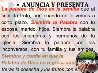 • ANUNCIA Y PRESENTA
La palabra de Dios es la semilla que al
final da fruto, aun cuando no lo vemos a
corto plazo. Siembra la Palabra con tu
esposa, marido, hijos. Siembra la palabra
con los miembros y hermanos de tu
iglesia. Siembra la palabra con los
inconversos, con tu familia y tus amigos.
Siembra y confía en que la
Palabra de Dios no regresa vacía.
Verás la cosecha y los frutos con el
 