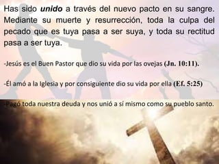 Has sido unido a través del nuevo pacto en su sangre.
Mediante su muerte y resurrección, toda la culpa del
pecado que es tuya pasa a ser suya, y toda su rectitud
pasa a ser tuya.
-Jesús es el Buen Pastor que dio su vida por las ovejas (Jn. 10:11).
-Él amó a la Iglesia y por consiguiente dio su vida por ella (Ef. 5:25)
-Pagó toda nuestra deuda y nos unió a sí mismo como su pueblo santo.
 
