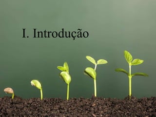 I. Introdução
 