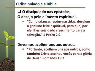  O discipulado nas epístolas.
O desejo pelo alimento espiritual.
 “Como crianças recém-nascidas, desejem
o genuíno leite espiritual, para que, por
ele, lhes seja dado crescimento para a
salvação.” 1 Pedro 2:2
Devemos acolher uns aos outros.
 “Portanto, acolham uns aos outros, como
também Cristo acolheu vocês para a glória
de Deus.” Romanos 15:7
O discipulado e a Bíblia
 
