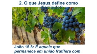 2. O que Jesus define como
discípulo?

João 15.8: É aquele que
permanece em união frutífera com

 