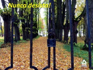 Nunca desista!
 
