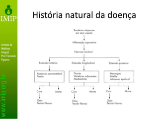 História natural da doença
 