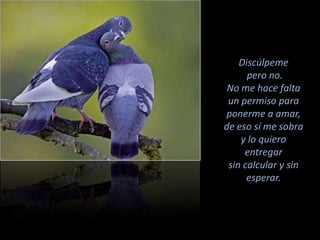 Discúlpeme pero no.No me hace falta un permiso para ponerme a amar,de eso sí me sobra y lo quiero entregar sin calcular y sin esperar.