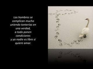 Los hombres se complican muchouniendo tonterías en una verdad,a todo ponen condiciones y ya nadie es libre si quiere amar.