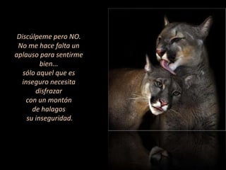 Discúlpeme pero NO.No me hace falta un aplauso para sentirme bien...sólo aquel que es inseguro necesita disfrazar con un montón de halagos su inseguridad.