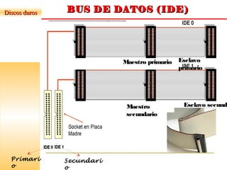 BUS DE DATOS (IDE)BUS DE DATOS (IDE)
Esclavo
primario
Discos durosDiscos duros
Primari
o
Secundari
o
Maestro
secundario
Maestro primario
Esclavo secund.
 