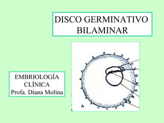 DISCO GERMINATIVO  BILAMINAR EMBRIOLOGÍA CLÍNICA Profa. Diana Molina 