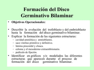 Formación del Disco Germinativo Bilaminar Objetivos Operacionales: Describir la evolución del trofoblasto y del embrioblasto hasta la formación del disco germinativo bilaminar. Explicar la formación de las siguientes estructuras: cavidad amniótica y amnioblastos. saco vitelino primitivo y definitivo. lámina procordal y cloaca. celoma y el mesodermo extraembrionario. pedículo de fijación. Identificar en gráficos y/o modelados las diferentes estructuras que aparecen durante el proceso de formación del disco germinativo bilaminar.