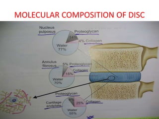 Discogenic lower backache by DR.NAVEEN RATHOR | PPTX