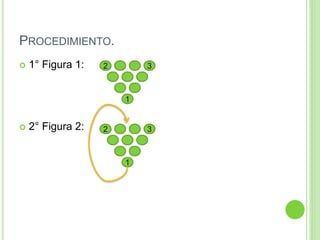 PROCEDIMIENTO.
 1° Figura 1:
 2° Figura 2:
32
1
32
1
 