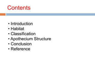 Contents 
• Introduction 
• Habitat 
• Classification 
• Apothecium Structure 
• Conclusion 
• Reference 
 