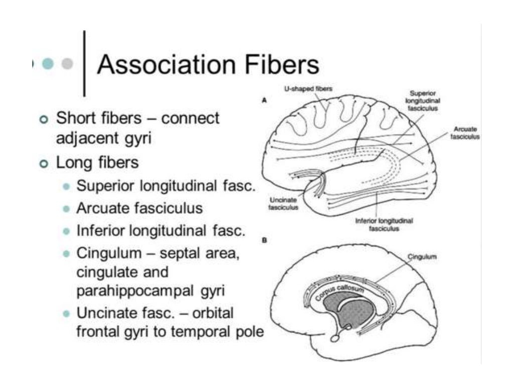 Disconnection syndrome